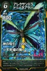 2025年最新】トリバネアゲハの人気アイテム - メルカリ