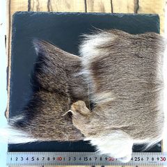 Item thumbnail for item b5223443-da7d-4727-8590-850307fe9098