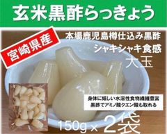 【宮崎のお漬物】玄米黒酢らっきょう150ｇ　2袋　らっきょう出荷日本一人気の一品