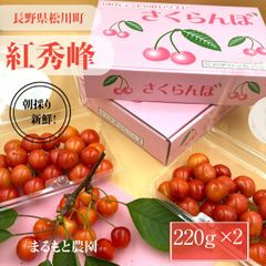 さくらんぼ 【まるもと農園】 紅秀峰 440g (220g×2P) 長野県松川町