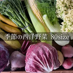 季節の西洋野菜 80サイズ 野菜セット 野菜詰め合わせ