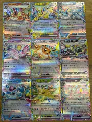 テラスタルフェス ブイズ9枚コンプセット A5