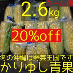 〈現品/20%off〉沖縄県産 スイートコーン/とうもろこしＣ品約2.6kg【クール便】①