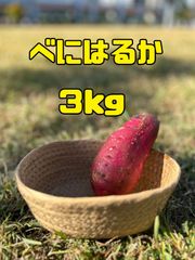 【紅はるか３ｋｇ：送料込】兵庫県産　べにはるか　1ヶ月超熟成　さつまいも　土付き　S～Mサイズ混載　１０