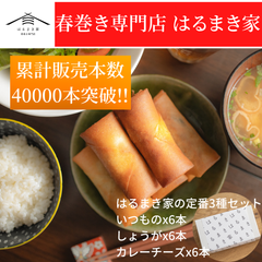 日本一美味しい 揚げ春巻き 　定番 3種セット