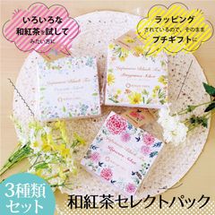 きごころ 和紅茶 セレクトパック ティーバッグ （2.5g×4種類）プチギフト 3種類セット 国産紅茶 メール便 紅茶 おしゃれ 日本の紅茶 【和紅茶専門店きごころ公式】