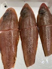 淡路島産　赤下ヒラメ1キロのサムネイル