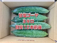 冷蔵便【鹿児島産】【農家直送】甘塩ゴーヤ箱込み3キロ^_^のサムネイル