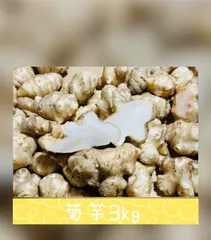 菊芋　3kg  きくいも　農薬不使用　無農薬　化学肥料不使用　自然農法　掘り立て　朝どれ野菜　フレッシュ野菜　産地直送