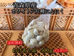 【わけあり品】令和6年 青森県産ホワイト六片種にんにく バラ 1kg(500g×2箱)【高糖度】