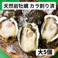 天然岩牡蠣 大5個  1.3～1.5ｋ（260～300ｇ×5個）カラ割り 殻付き 日本海産   生食  岩ガキ お中元 ギフト 贈答 バーベキュー