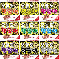 【即購入可】A4サイズ　規定内　ペンサボード　ファンサパネル　今日もかっこいい　ハングル　韓国語　コンサート　ライブ　メンカラ　推し色