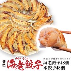 餃子 取り寄せ 冷凍餃子 お取り寄せグルメ ぎょうざ 冷凍 [美食点心ぎょうざ館] 本餃子&海老餃子セット（16人前／96個）沖縄・離島発送不可