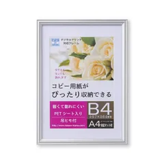 B4額A4額 B4（364×257mm）サイズとA4（297×210mm）サイズ両方収納可能 樹脂製フレーム シルバー