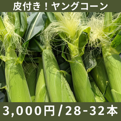 新鮮！甘いヤングコーン（28-32本入り）【農薬不使用】