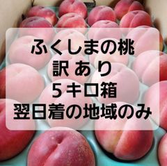 ふくしまの桃　訳あり　５キロ箱　翌日着の地域のみ　「川中島白桃」