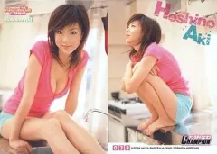 【中古】コレクションカード(女性) 078 ： ほしのあき/2006 YC PREMIUM CARD