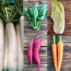 冬の定番野菜5点セット▪️白菜・大根・ほうれん草他▪️栽培期間中農薬不使用