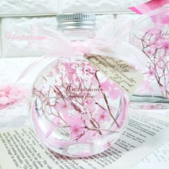 桜ハーバリウム　インテリア　ギフト　サクラ　桜　春　贈り物