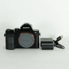 2025年最新】sony α7 初代の人気アイテム - メルカリ