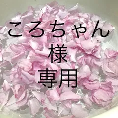 ころちゃん様専用
