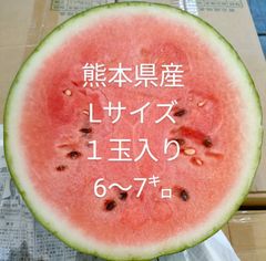 スイカ　　2L〜Lサイズ　1玉