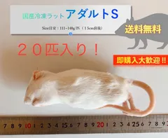2025年最新】冷凍ラットの人気アイテム - メルカリ