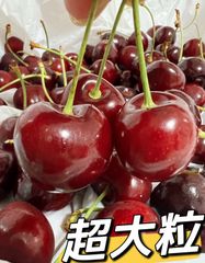 9.5r超大粒❣️10セット限定特価❣️常温便❣️ポスト投函❣️アメリカンチェリー200g❣️ 9.5row 超大粒サクランボ American Premium Cherries 美國車厘子 櫻桃 家庭用 お中元 贈答用