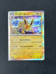 2025年最新】サンダー キラ カードの人気アイテム - メルカリ