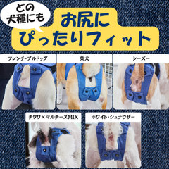 うんコロキャッチ Mサイズ　新品未開封　改良版　ガイドブック付き ショップの評価