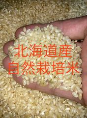 北海道産自然栽培米ゆめぴりか玄米4kg入