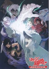 はたらく細胞!!　最強の敵、再び。体の中は“腸”大騒ぎ！ 　映画 パンフレット(中古)