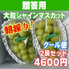 贈答用2房セット（大粒シャインマスカット）クール便