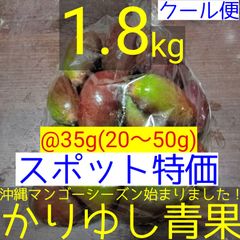 〈スポット特価〉沖縄県産 摘果マンゴー/青マンゴー@35g(20〜50g)約1.8kg【クール便】⑤