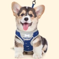 Item thumbnail for item 348af92e-b508-4dc2-ab84-5e2894da701f