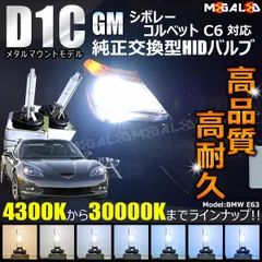 2024年最新】d1s hidの人気アイテム - メルカリ