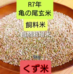 2025年最新】クズ米の人気アイテム - メルカリ