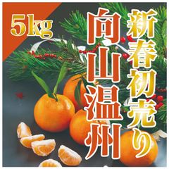 【3が日限定価格】濃厚甘味　有田みかん　向山　中生　中生みかん　温州みかん　向山温州　おいしいみかん　高級みかん　高級　和歌山県有田郡産　5㎏入り　和歌山みかん　紀州みかん　フォロー割　送料無料　福袋　福箱　上前蜜柑舗 訳あり品ではありません