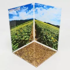 【中古】雑貨 向日葵 アクリル撮影ブース 「コトブキヤくじ 創彩少女庭園 オンラインくじ」 A賞-1