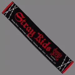 100％本物保証！ 2025年最新】STRAYKIDS dominate マフラータオルの人気アイテム アイドル