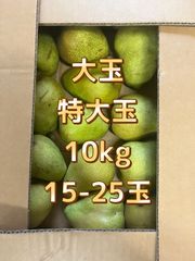 宮崎県産 摘果マンゴー グリーンマンゴー13.5kg 宮崎県産摘果マンゴー・グリーンマンゴー約4.7kg(10~150) - メルカリ
