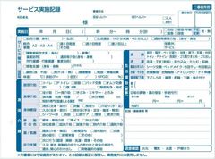 訪問介護サービス実施記録 ミシン切りタイプ（２冊セット） ブランド: ノーブラン