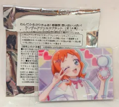 わんだふるぷりきゅあ！感謝祭 アクリルマグネット 全14種 コンプセット わんだふるぷりきゅあ 感謝祭 アクリルマグネット コンプリート