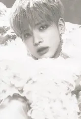 TXT The Chaos Chapter:FREEZE TAEHYUN ポストカード WORLD