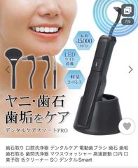 大好評再入荷！　お口の臭い大丈夫？？　すぐに発送！　歯石取り 口腔洗浄器 デンタルケア 電動歯ブラシ 歯石 歯垢 歯石取る 歯間洗浄器 マウスウォッシャー 高速振動 口臭予防 ◇ デンタルSmart