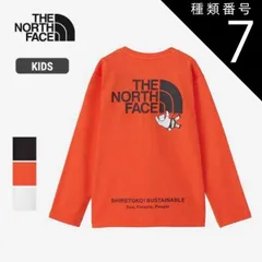種類7：(MS)ミスティーセージ/110 ザ・ノース・フェイス キッズ 長袖 Tシャツ THE NORTH FACE [ NTJ82332ST ] L/S SHIRETOKOTEE ロングスリーブシレトコトコティー ロンT [メール便][230812] 子供 
