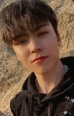 【中古】コレクションカード(男性) SEVENTEEN/VERNON(バーノン)/CD「Face the Sun」(CARAT VER.)SEVENTEEN Weverse Shop JAPAN特典スペシャルフォトカード