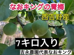 青梅 7キロ 西吉野産 6月上旬発送 なおキング