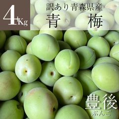 【北陸～関西エリア限定】　訳あり　青森県産　無選別青梅（豊後梅）　4Kg　※クール便