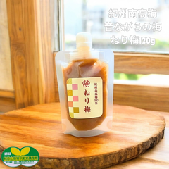 ポスト【ねり梅】昔ながらの梅干し 120g 無添加 梅と塩 調味料 料理 和歌山県産紀州南高梅